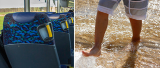 Prislappen för badbussen till Varamon – 1 210 kronor per person