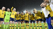 Därför är Sveriges "oviktiga" match viktig