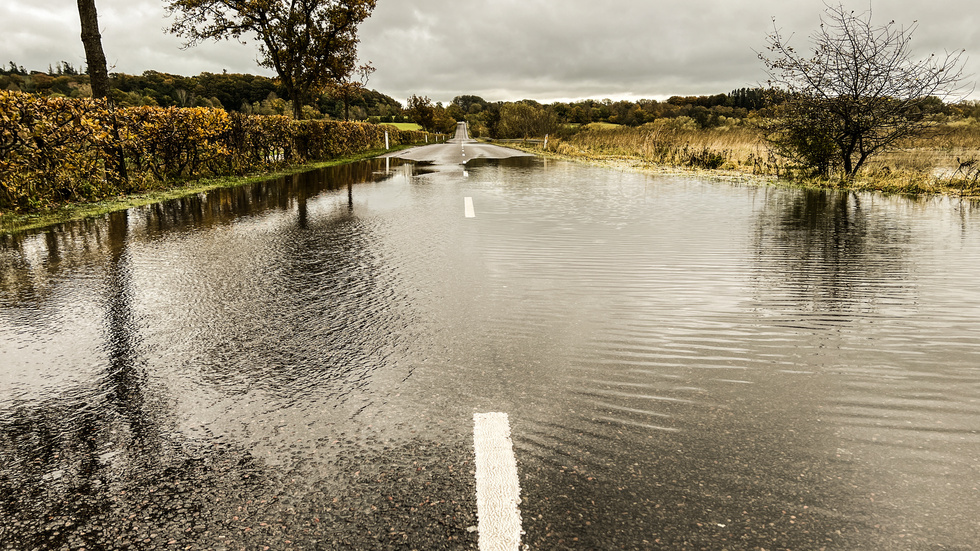 Rekordmycket regn har fallit i Danmark. Bild från en översvämmad väg under stormen Babets framfart i slutet av oktober.