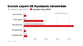 Svensk export till Rysslands grannar rusar