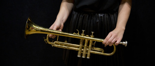 Förvarade stulen trumpet – riskerar straff  