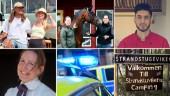 Åtta lästips för hängmattan – heta nyheter och sköna reportage