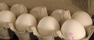 Misstanke om salmonellasmitta–ICA återkallar äggförpackningar