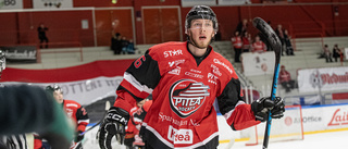 16.00: Se Piteå Hockeys bortamöte mot Sundsvall direkt