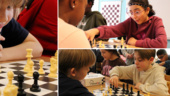 Elever laddar för världens största schacktävling
