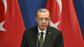Turkiet röstar om Sveriges Natoansökan i veckan
