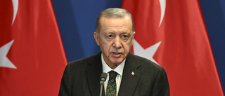 Turkiet röstar om Sveriges Natoansökan i veckan