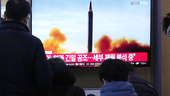 Nordkorea har avfyrat kryssningsrobotar