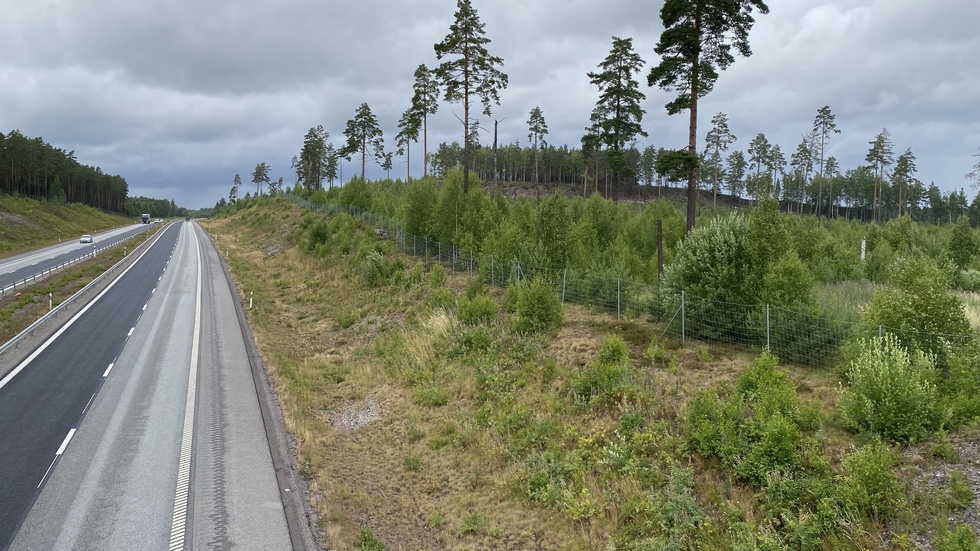 Här, utanför Strängnäs, planeras det för en stor logistikpark.