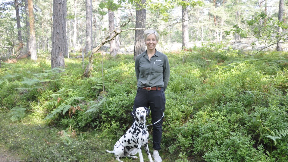 Sara Jonsson kan ge råd om när avverkning passar bäst. Dalmatinern Zeke får följa med matte på jobbet när det passar.