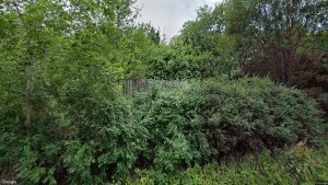 77-åring ny ägare till 40-talshus i Gamleby - 290 000 kronor blev priset