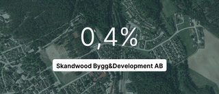 Här är siffrorna som visar hur det gick för Skandwood Bygg&Development AB under 2022