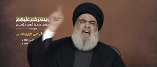 Hizbollahledare Nasrallah varnar med vaga hot