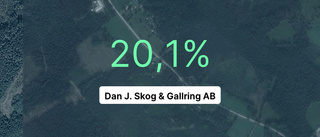 Dan J. Skog & Gallring AB: Här är årsredovisningen för 2022