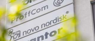 Läkemedelsjätten Novo Nordisk lyfter prognos
