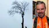 Höjdrädde Mattias jobb: Klättrar upp i 26 meter höga träd  