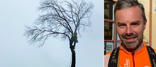 Höjdrädde Mattias jobb: Klättrar upp i 26 meter höga träd  