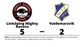 Linköping Mighty Ravens besegrade Valdemarsvik med 5-2