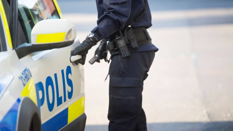 Polisen har fått in en anmälan om stöld av ett fårskinn i Storebro.
