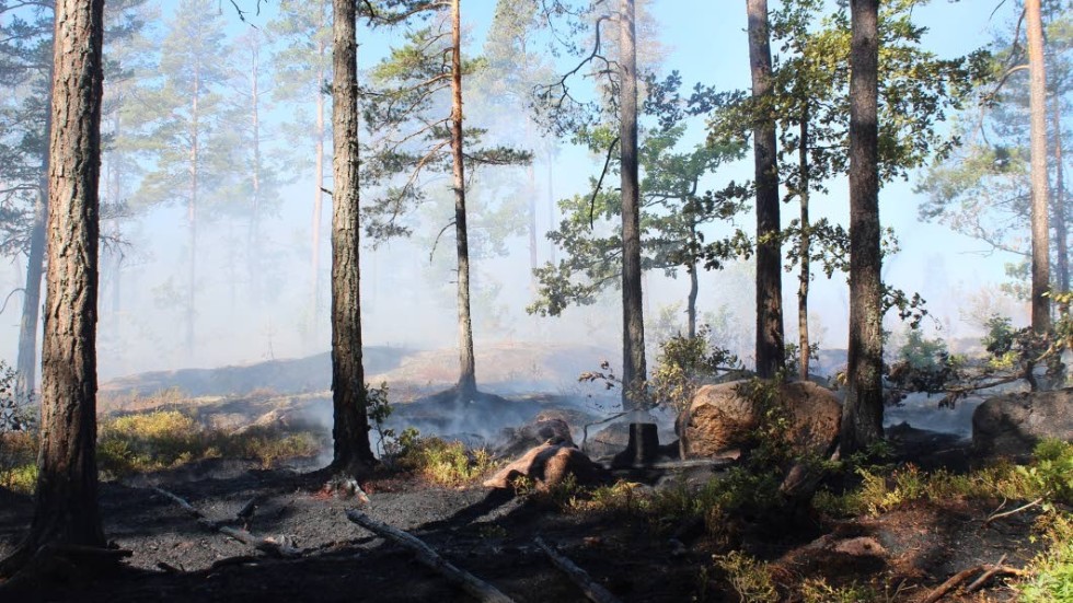 Under sommaren ökade antalet larm till räddningstjänsten om brand i skog och mark med det dubbla jämfört med 2017.