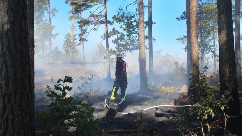 – Det är både positivt och negativt, det är bra att det blir regn men mindre bra med eventuella åsknedslag, säger Jacob Dahlqvist vid räddningstjänsten i Västervik.