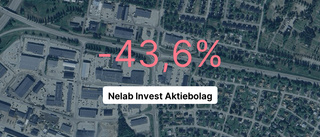 Så såg siffror ut för Nelab Invest AB under 2023