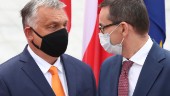 Polen och Ungern tar rättsregler till domstol