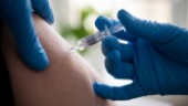 Vaccinstrul: Personer från icke-prioriterade grupper har bokat vaccinationstid • Region Västerbotten ryter ifrån: ”Av största vikt att ordningen respekteras”