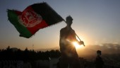 Talibanerna: Vi styr 85 procent av landet