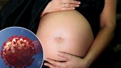Rekordmånga ansöker om graviditetspenning i Sörmland