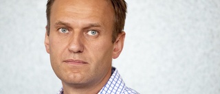 Rysk ambassadör: Vi tillåter ej att Navalnyj dör