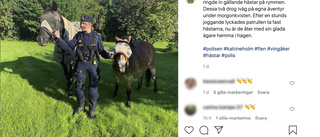 Polisen fångade in hästar som rymt nära riksvägen