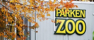 Säsongsöppning på Parken Zoo – häng med i vimlet
