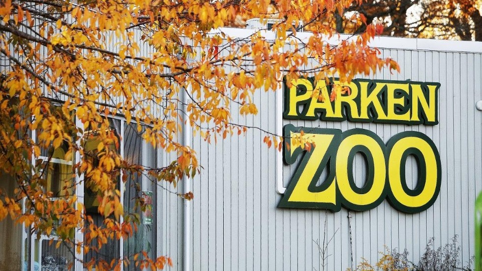  Skulle man kunna hitta ett system där man kontrollerar att nån i familjen är kommunanställd? Skriver insändarskribenten som varit på kommunens familjedag på Parken Zoo.