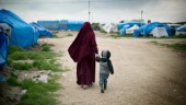 Orolig mormor: Inhumant att lämna svenska barn i Syrien