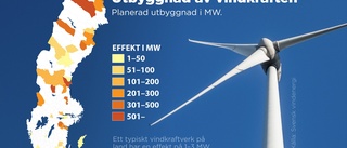 Trots elkrisen – tvärnit för ny vindkraft • Tufft kvartal inte bara i Västervik