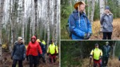 Visade unika skogen i Bureå – lockar utrotningshotad fågel • Så kan markägare bidra mer: ”Kommer nog att dräpa någon gran”