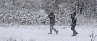Här kommer vintervädret: "Snöfallspremiär"