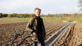 Unik odling i Motala: "Finns i princip inga andra"
