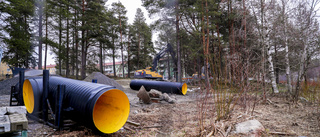 EU-krav på avloppsvattnet kan kosta en miljard i Luleå
