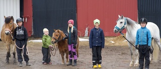 Ridanläggningen blir kvar – ridklubben jublar