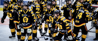 AIK plockar upp juniorer – och förlänger med två: "Väldigt lovande"