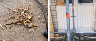 Rev asbest olagligt – nu får byggföretaget böter
