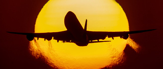 Flygbokningarna på väg tillbaka: "Tjugofaldiga ökningar"