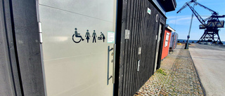 Man åtalas för våldtäkt på offentlig toalett i Luleå