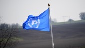 ”FN har under tiden stått bakbundna då ett eller flera länder satt sig emot FN:s inblandning”