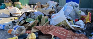 Stor dumpning vid återvinningen: "Drar till sig skadedjur"