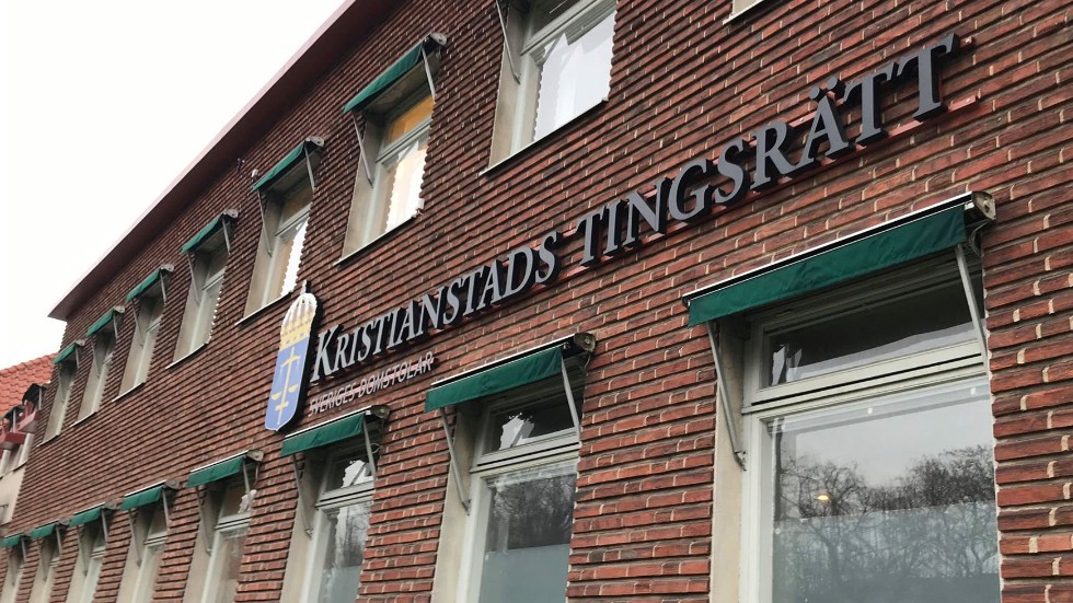 En man i 30-årsåldern åtalades i höstas vid Kristianstads tingsrätt misstänkt för mord på sin tidigare sambo. Arkivbild.