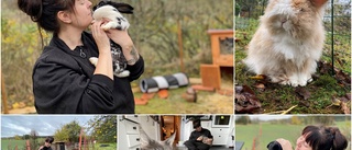 Hon startade ett kaninhem – och fick respons direkt: "Det sa bara pang"