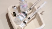 Två vaccindoser bra för antikroppar i luftvägar